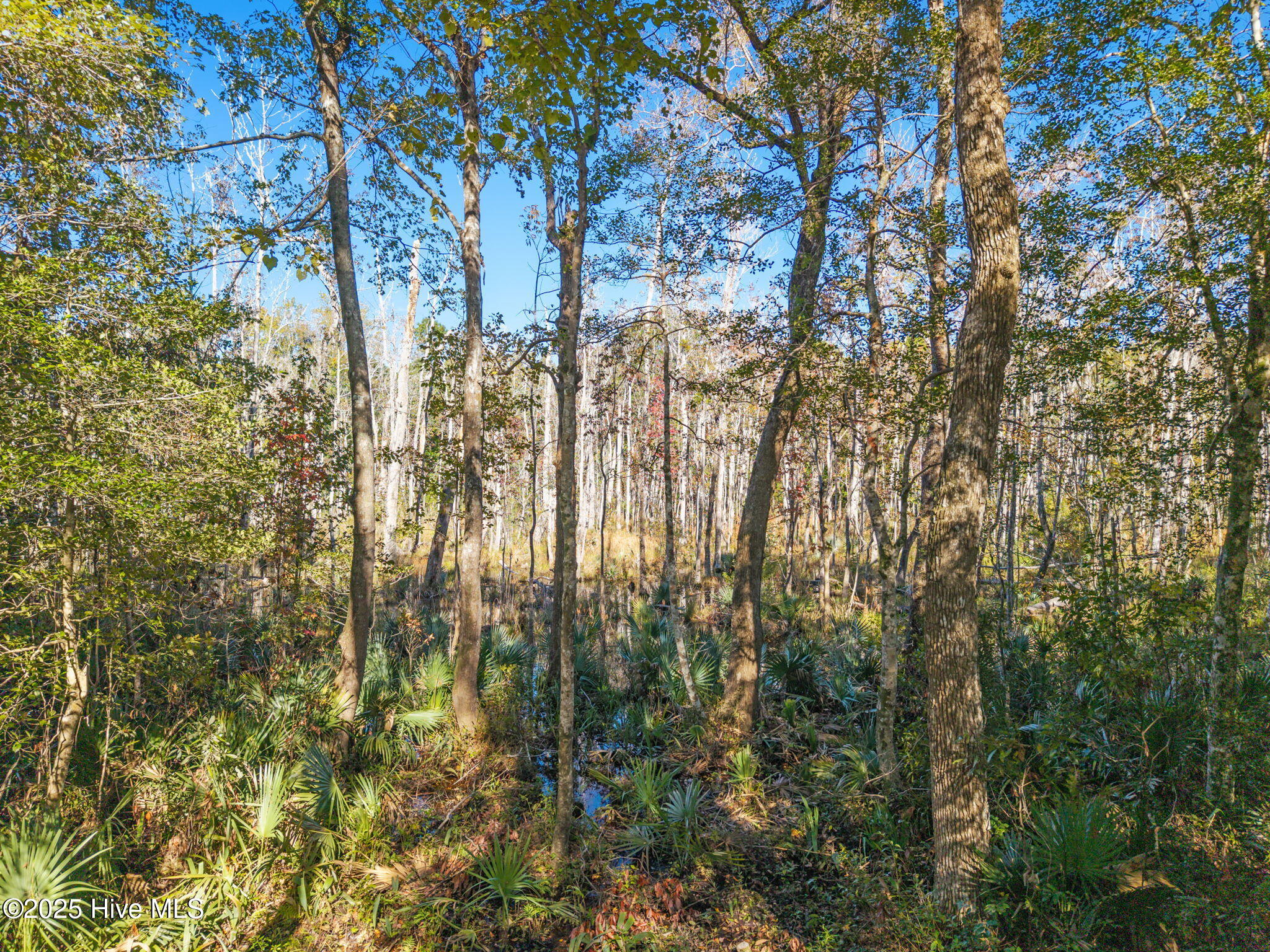2-3 Midway Road Southeast Bolivia, NC 28422 - Photo 4 of 17 6-web-or-mls-CamMediaLLC.com (6 of 17)