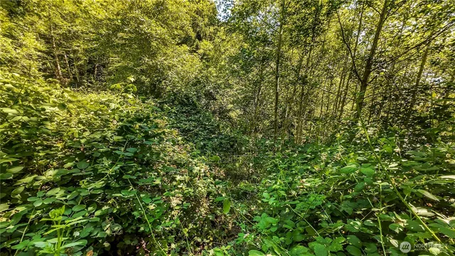 a view of a lush green field