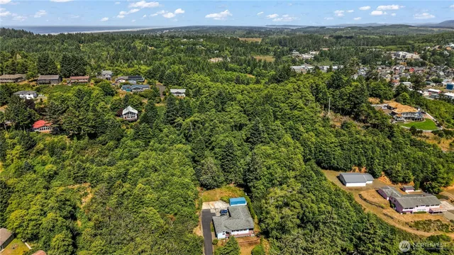 a view of a lush green forest