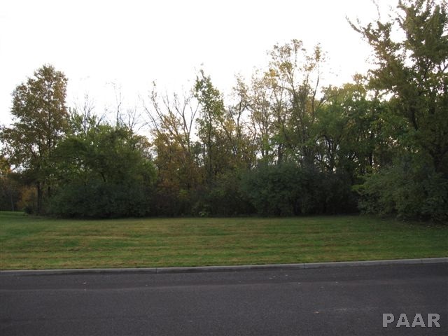 Lot 17 Grace Lane Edwards, IL 61528 - Photo 5 of 7