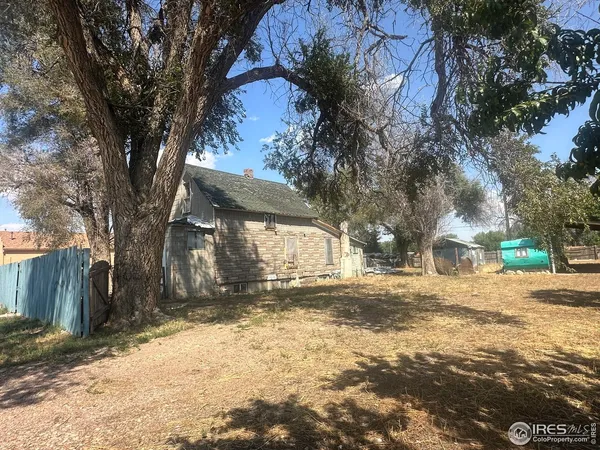 a view of a yard with a tree