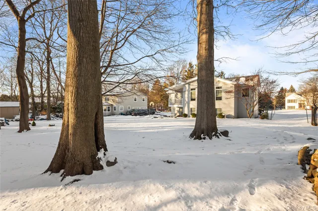 a view of park with a tree