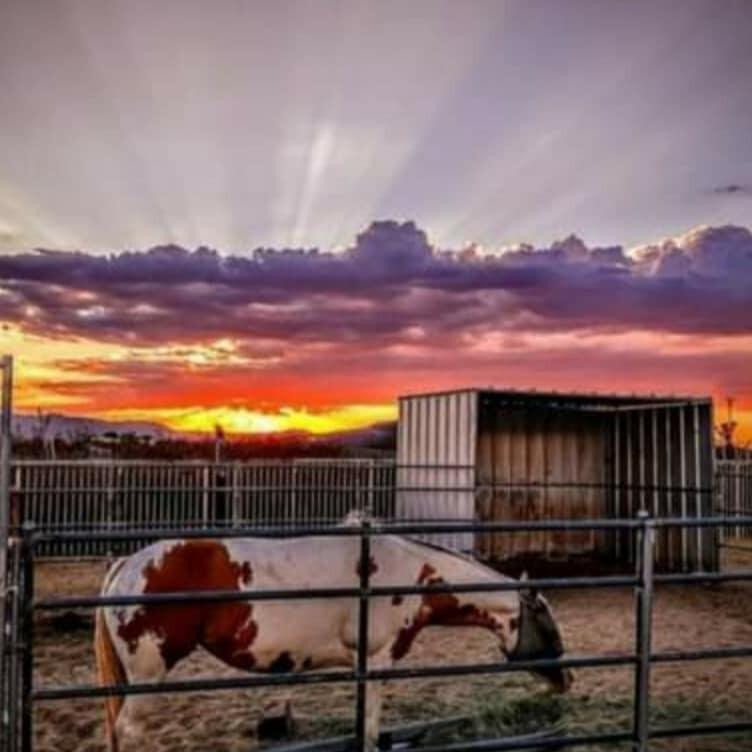 a view of a chair and table and longer chairs