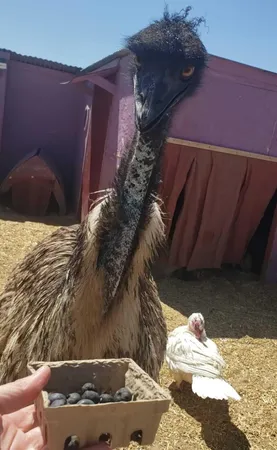 a bed room with a bed