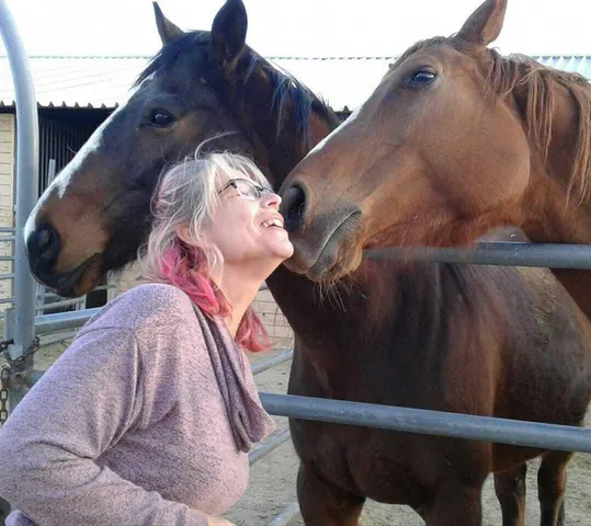 a view of a terrace with outdoor seating space