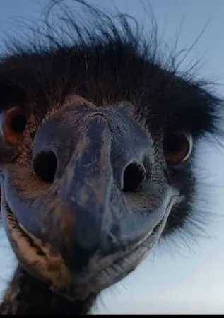a view of water heater room