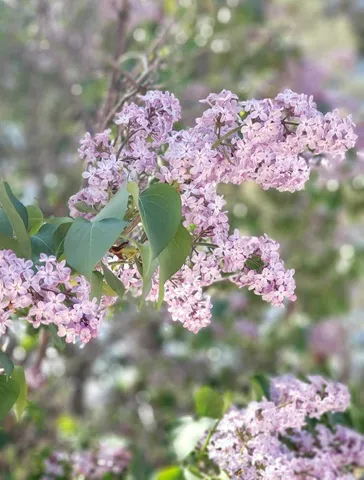 a water fountain sitting in the middle of a building