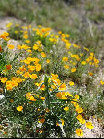 a view of balcony with wooden floor