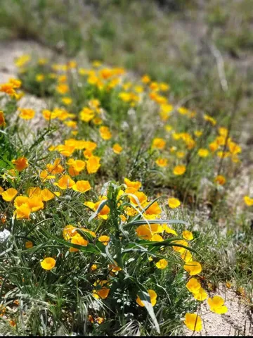 a view of balcony with wooden floor