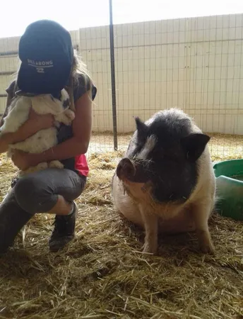 a view of a fireplace in a yard