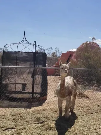 $380,000 | 58562 Applegate Way, Landers, CA 92285