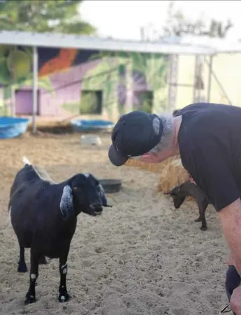 $380,000 | 58562 Applegate Way, Landers, CA 92285