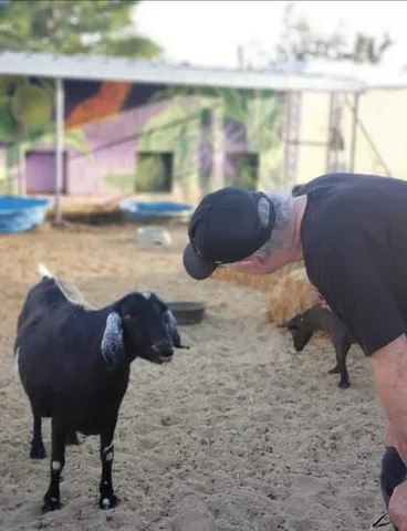 $380,000 | 58562 Applegate Way, Landers, CA 92285