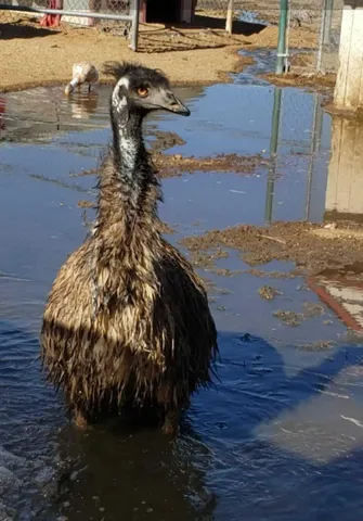 $380,000 | 58562 Applegate Way, Landers, CA 92285