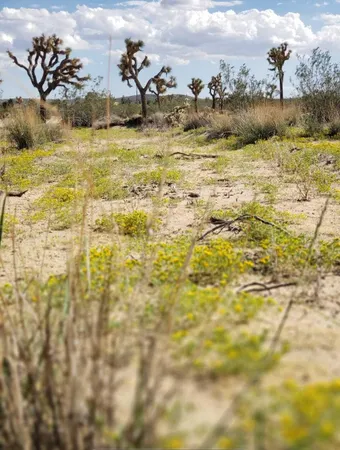 $380,000 | 58562 Applegate Way, Landers, CA 92285