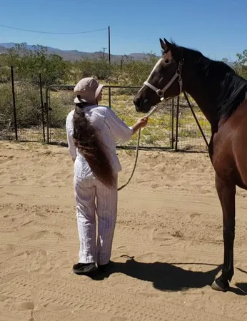 $380,000 | 58562 Applegate Way, Landers, CA 92285