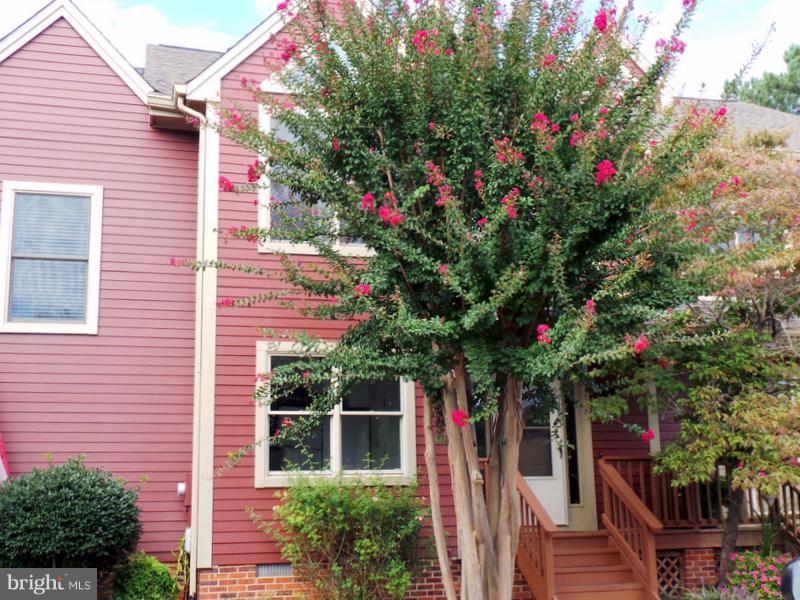 738 Bellefield Road, Unit 99 Dowell, MD 20629 - Photo 29 of 30 Beautiful Crepe Myrtle in front