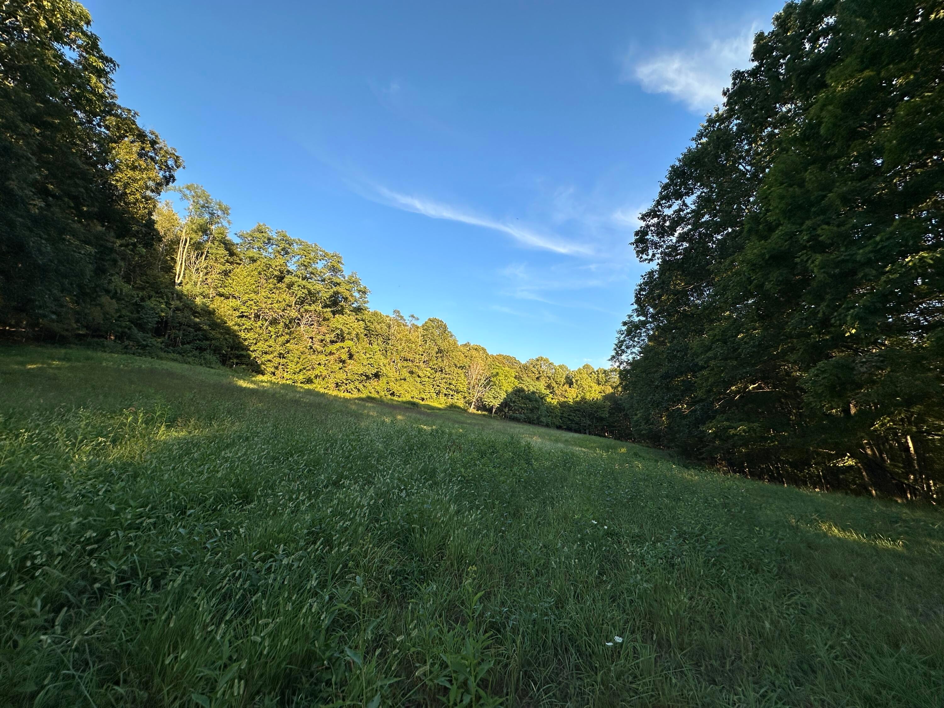 380 Rehm's Mtn Road Renick, WV 24966 - Photo 31 of 41 Gallery Image 31