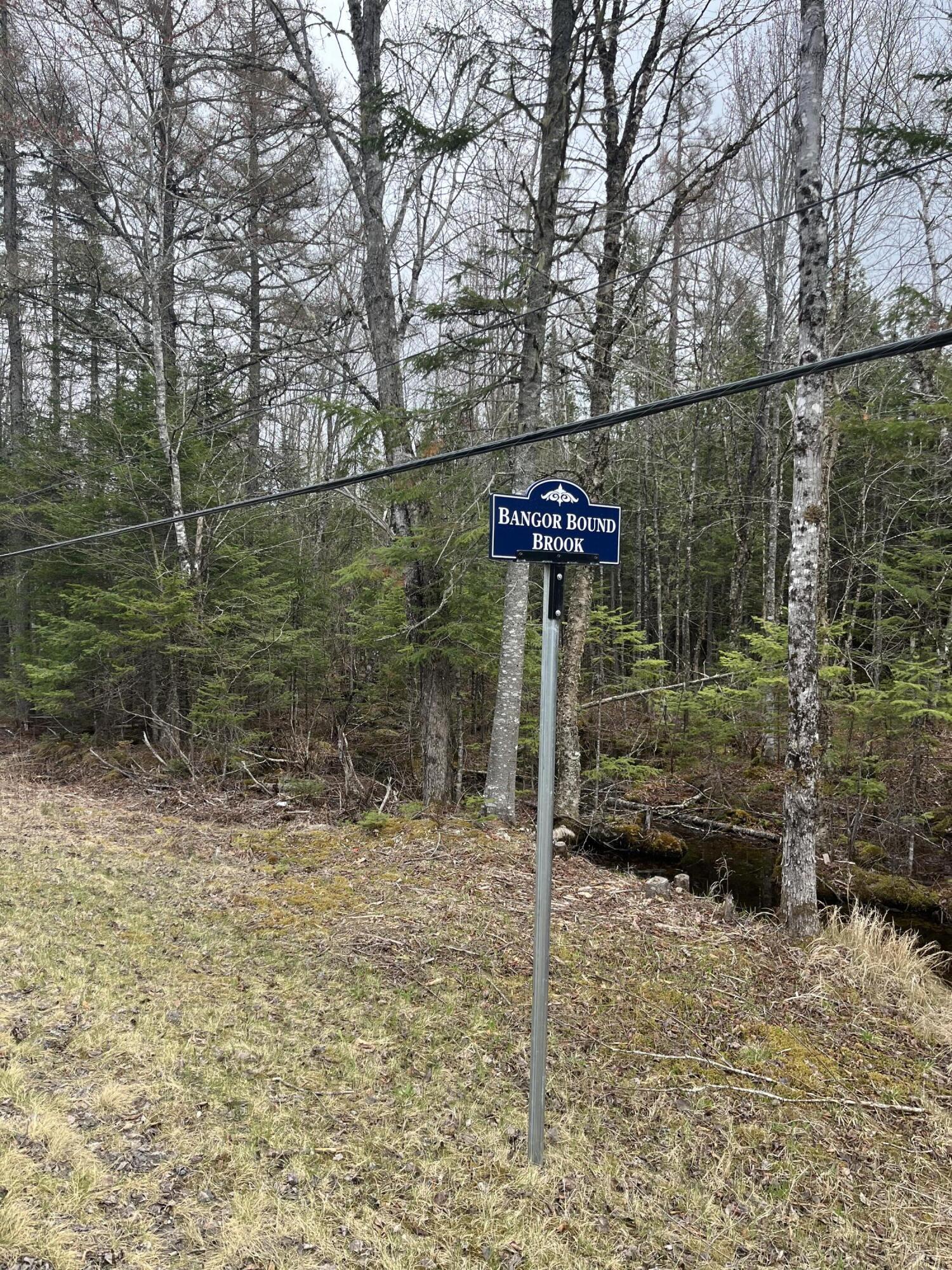 M6-l9 Boundary Road Orient, ME 04471 - Photo 2 of 6 IMG_4208