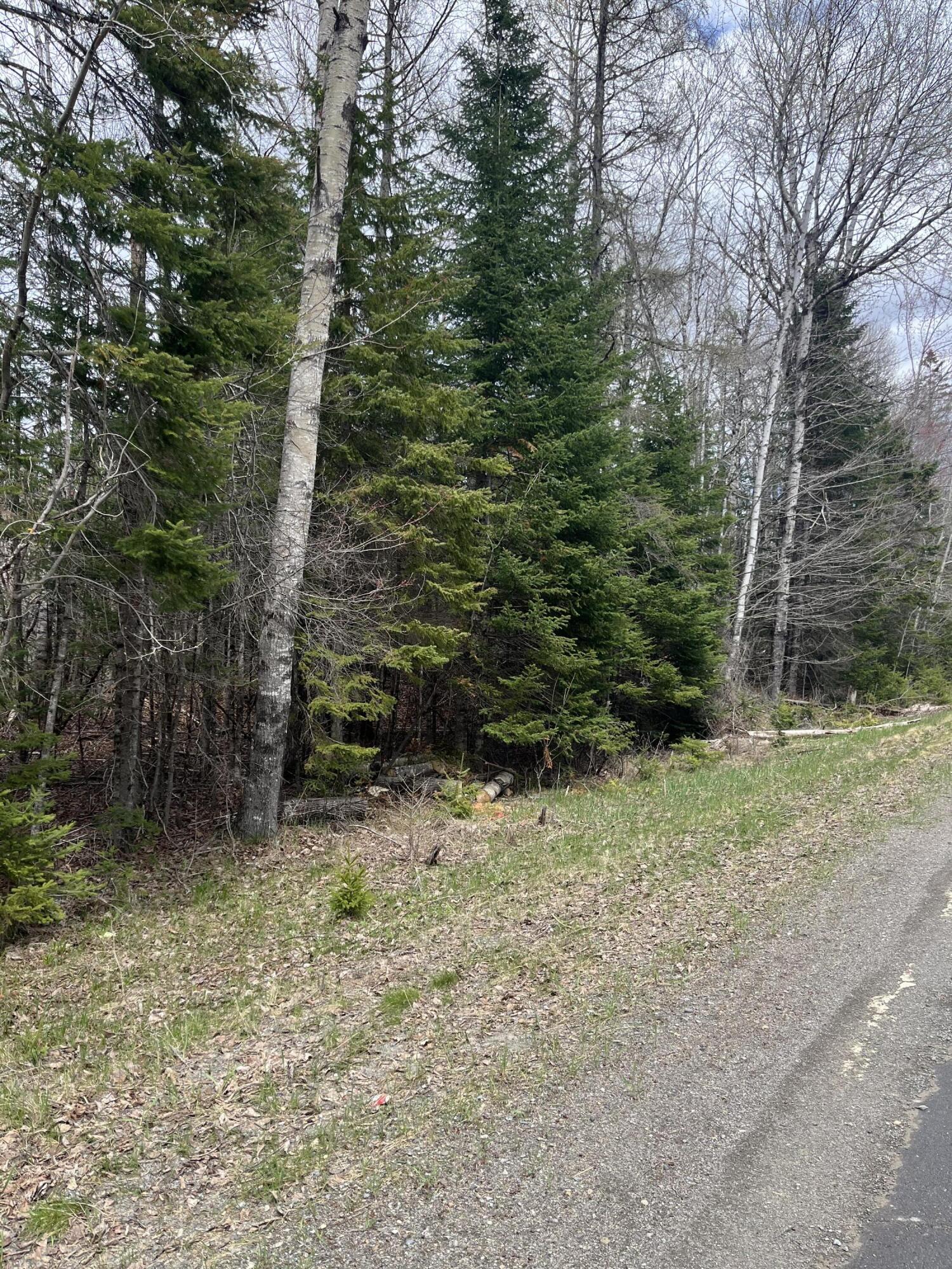 M6-l9 Boundary Road Orient, ME 04471 - Photo 5 of 6 IMG_4210