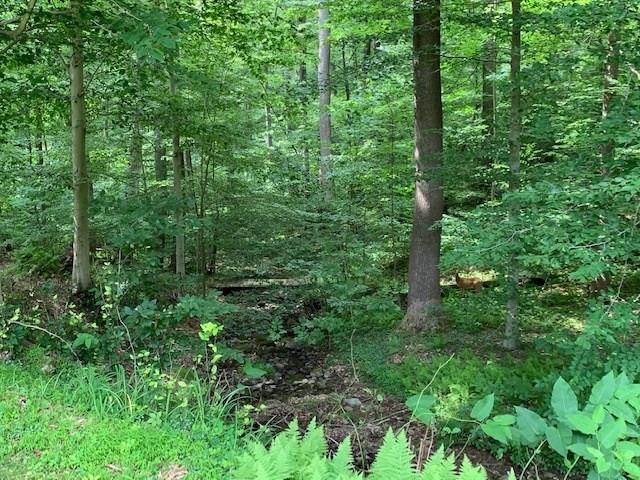 279 Chestnut Ridge Road Blairsville, PA 15717 - Photo 18 of 18 Gallery Image 18