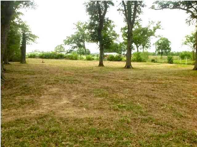 0 Colony Road Rayne, LA 70578 - Photo 2 of 5 Additional Photo