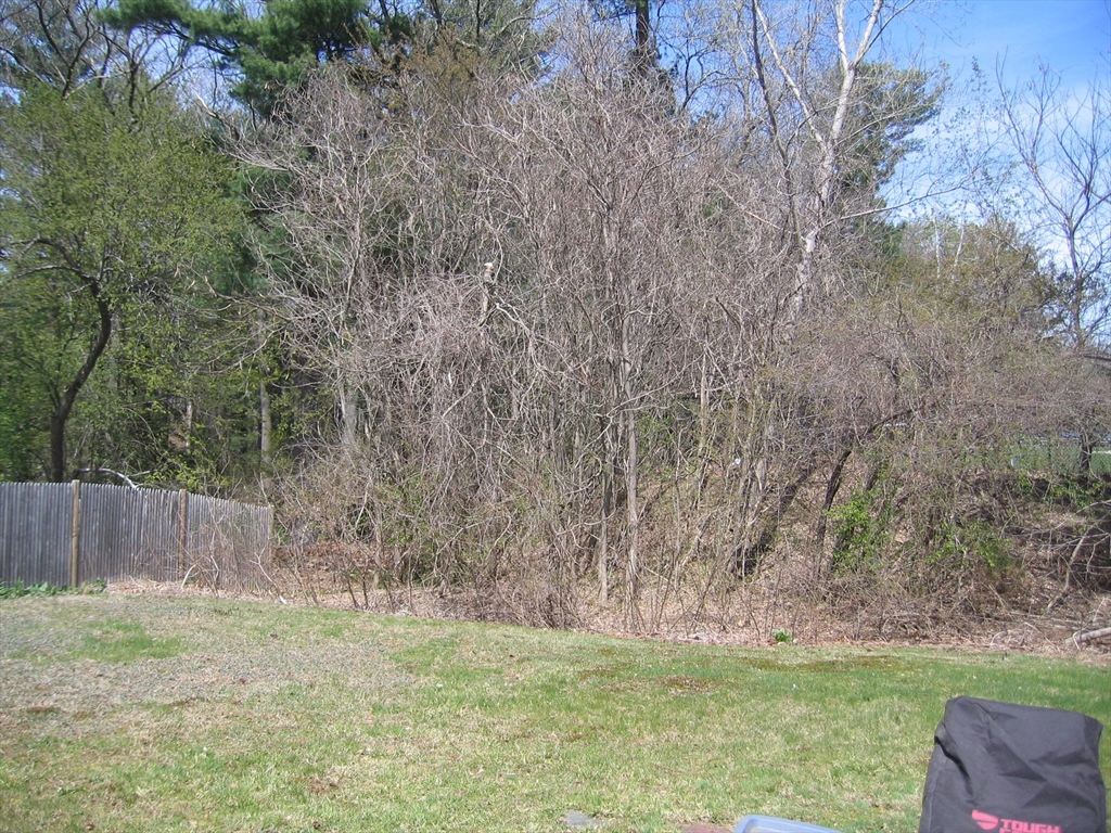 84 Lowther Road Framingham, MA 01701 - Photo 14 of 16 Gallery Image 14