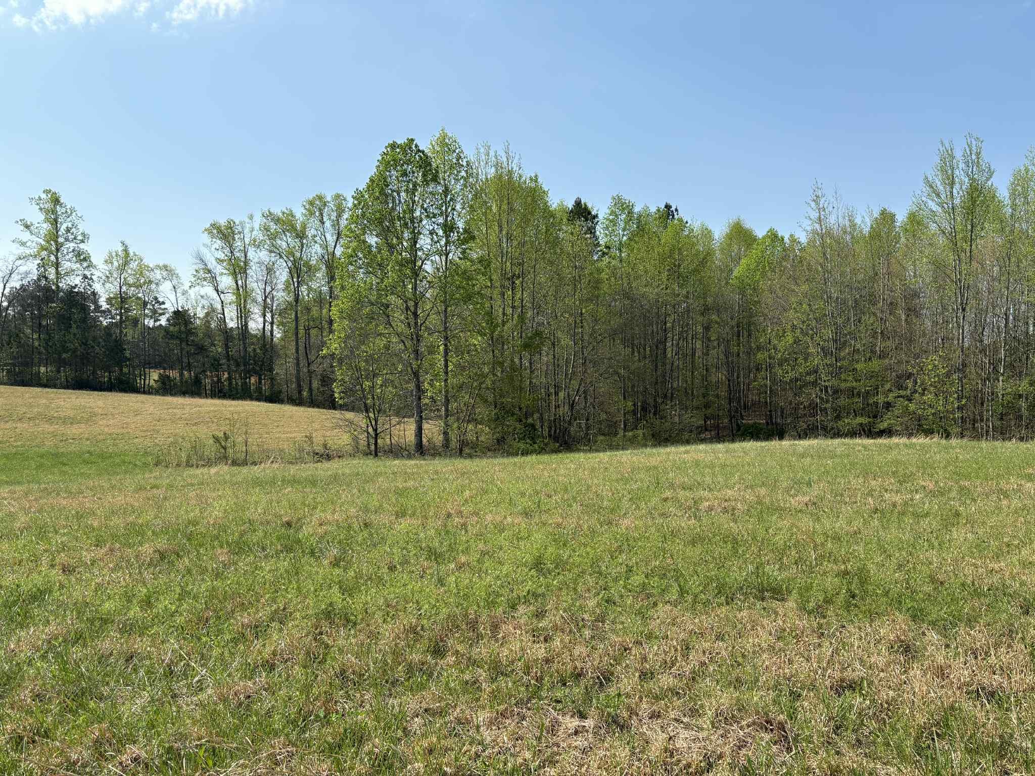 a view of a field with trees in the background