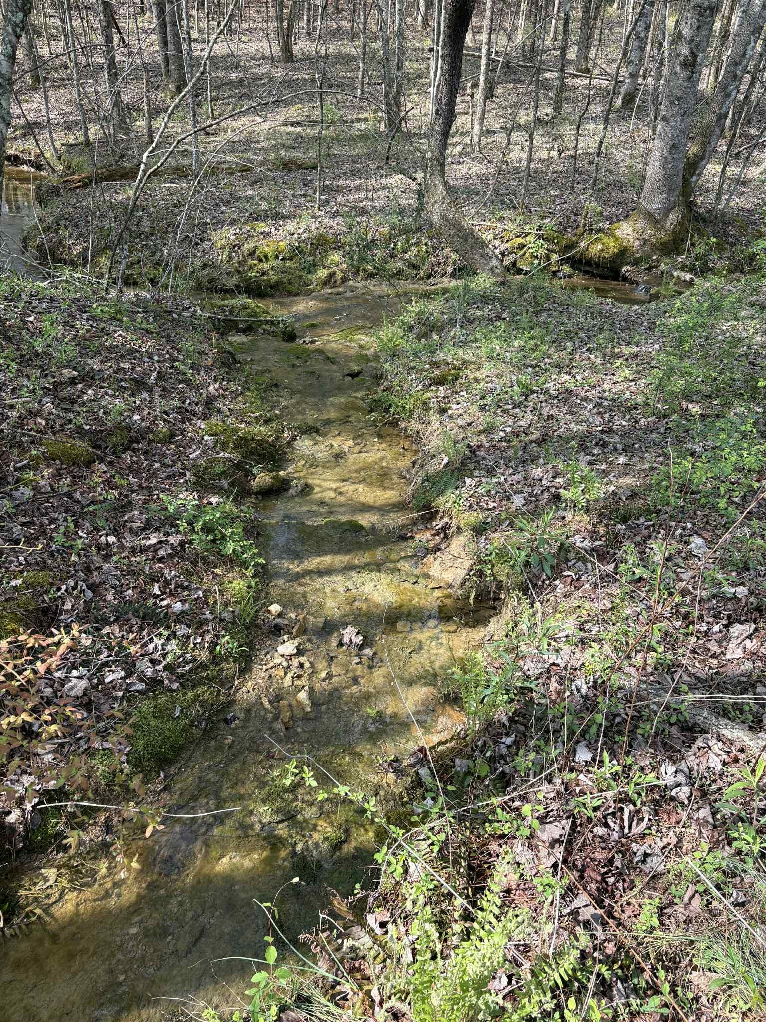 0 Elmore Town Road Baxter, TN 38544 - Photo 3 of 8
