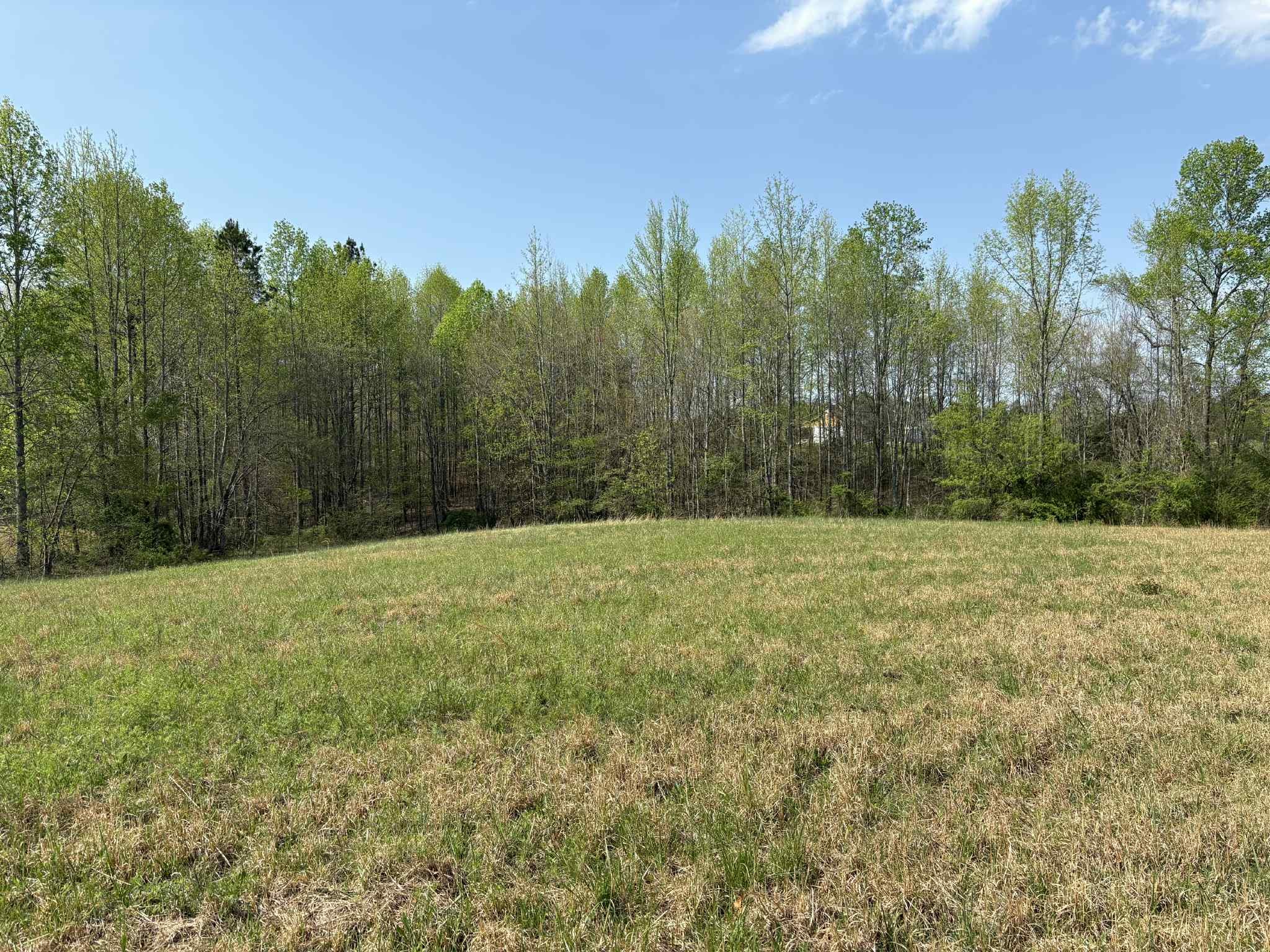0 Elmore Town Road Baxter, TN 38544 - Photo 8 of 8 a view of outdoor space and yard
