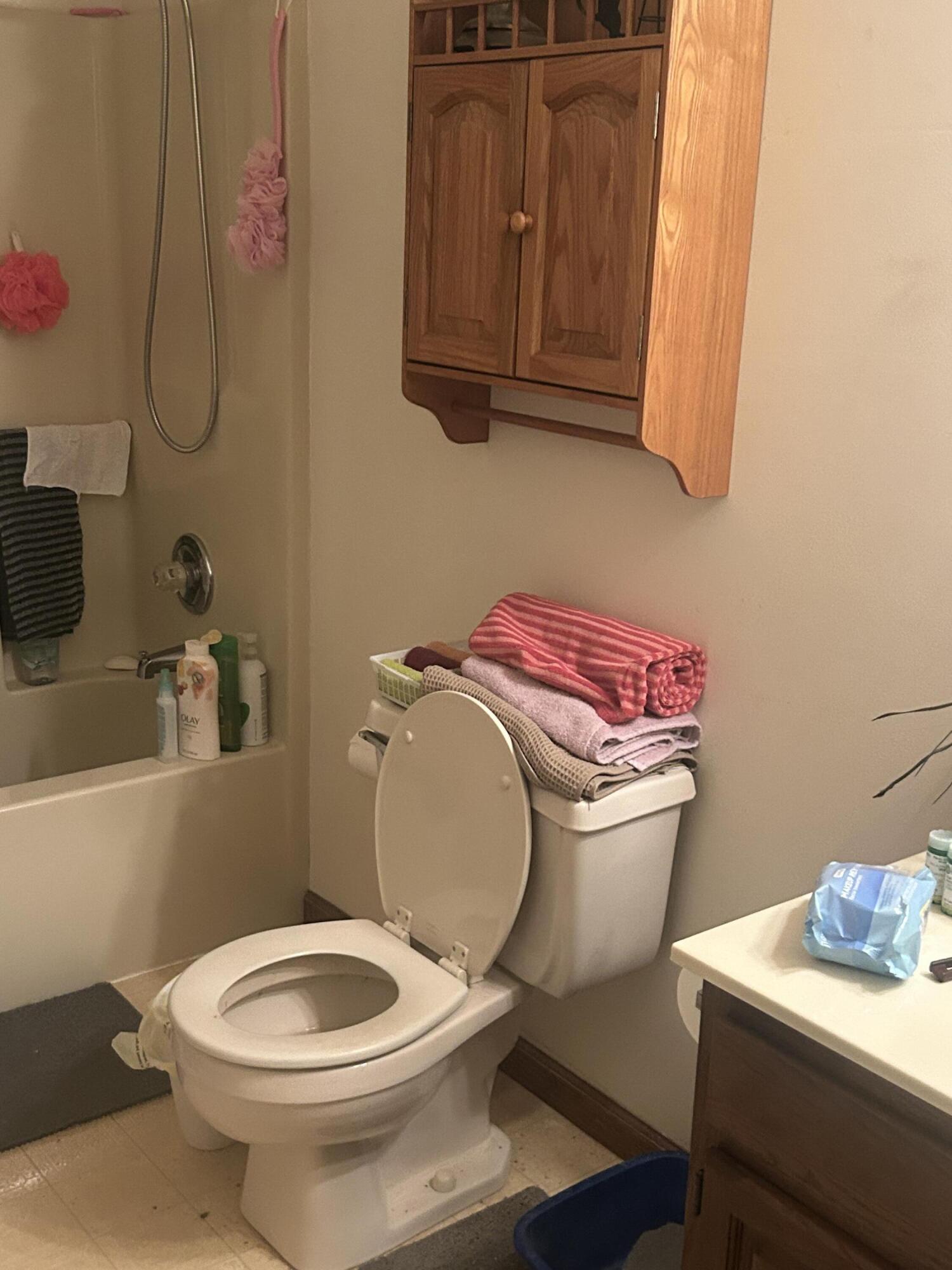 1024 Will Jackson Road Cadiz, KY 42211 - Photo 15 of 38 guest bath
