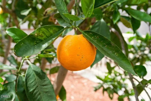 $939,000 | 215 Apple Avenue, Ventura, CA 93004