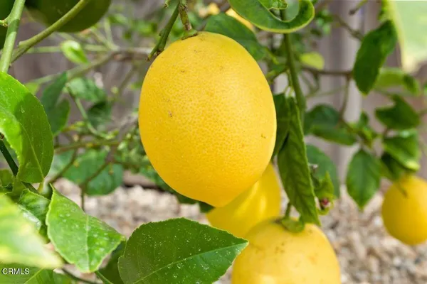 $939,000 | 215 Apple Avenue, Ventura, CA 93004