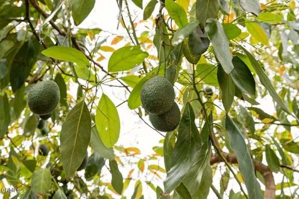 $939,000 | 215 Apple Avenue, Ventura, CA 93004