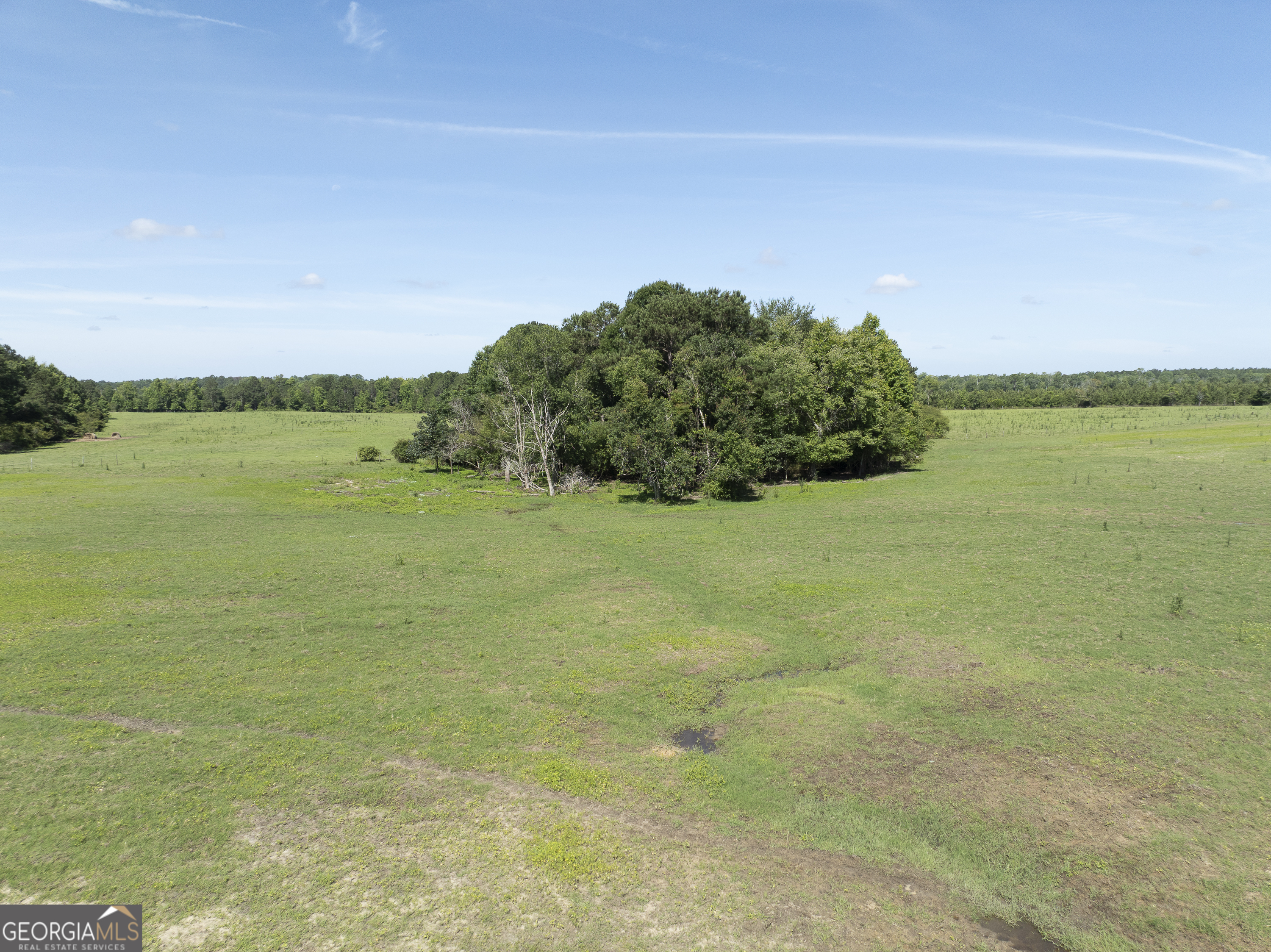 3349 A Scotland Road Alamo, GA 30411 - Photo 29 of 29