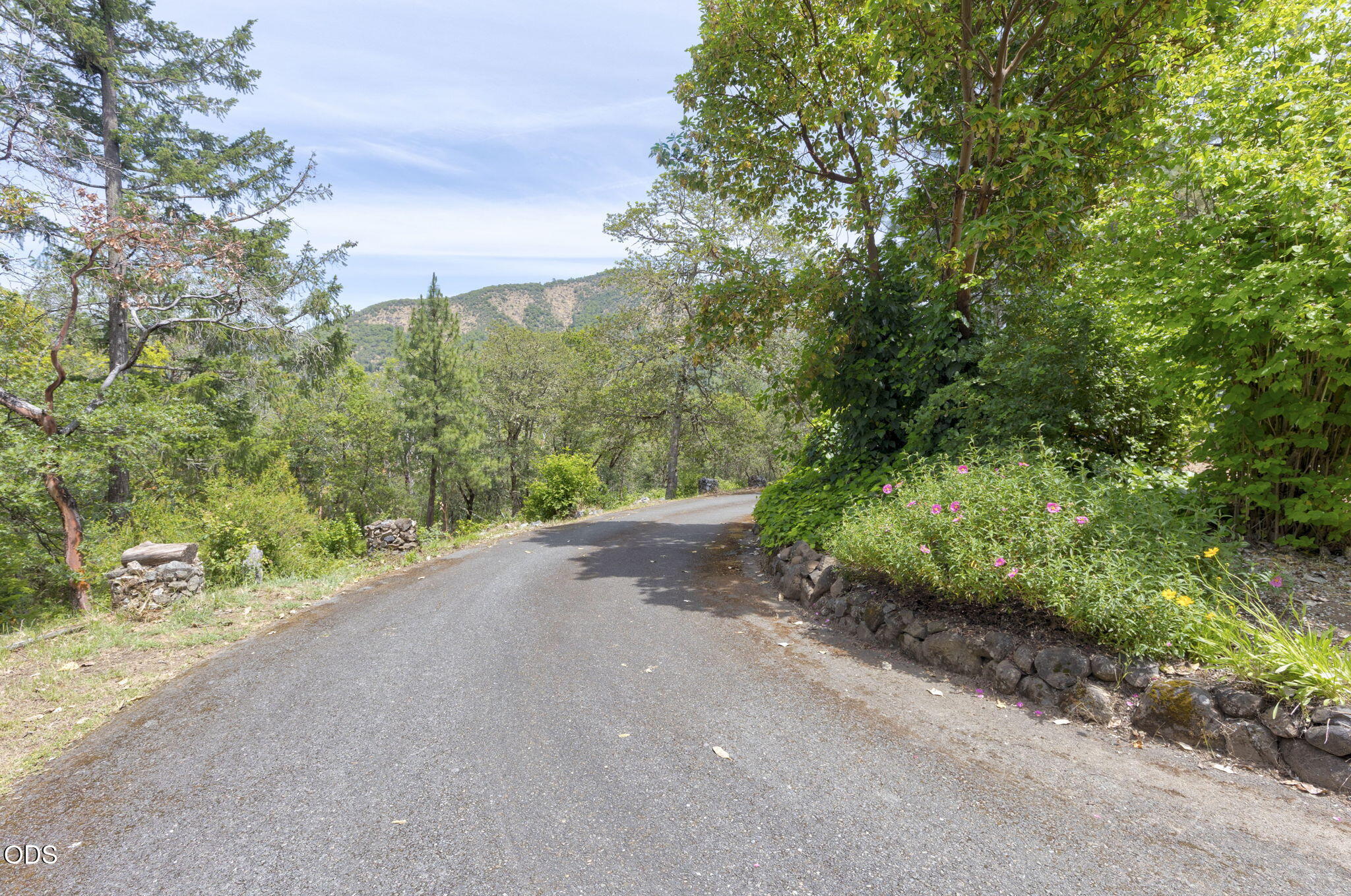 410 Schieffelin Gulch Road Gold Hill, OR 97525 - Photo 57 of 76