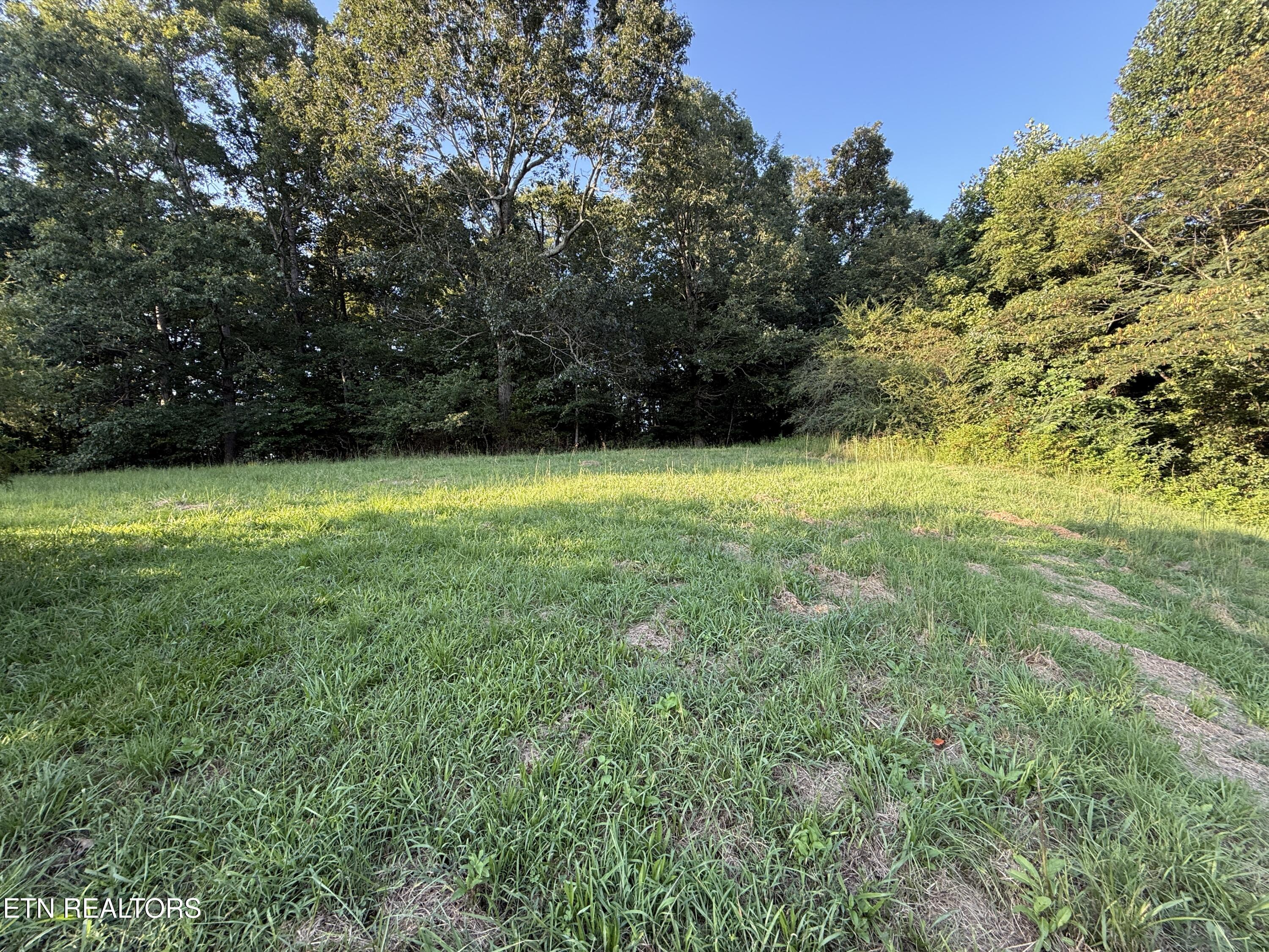1305 Sweetwater Road Philadelphia, TN 37846 - Photo 6 of 9 IMG_4521