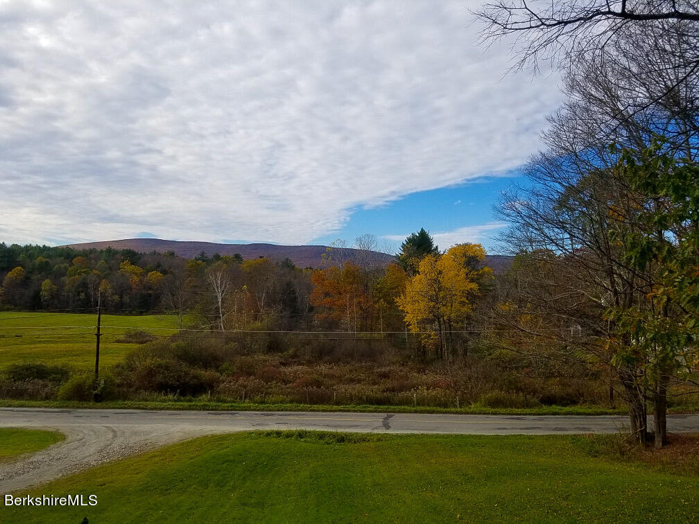 910 Daniels Road Clarksburg, MA 01247 - Photo 41 of 41 a view of a grassy field with mountain in the background