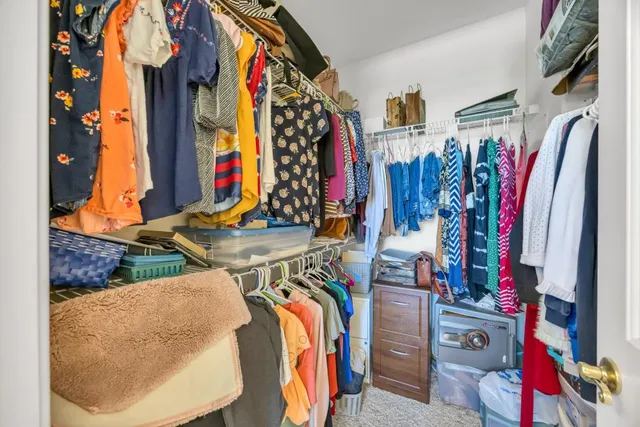 a view of a park with large trees