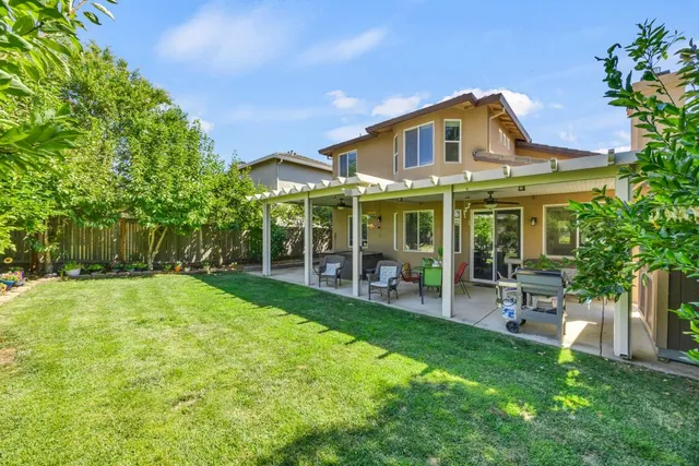 a view of a pathway of a yard with plants and wooden fence