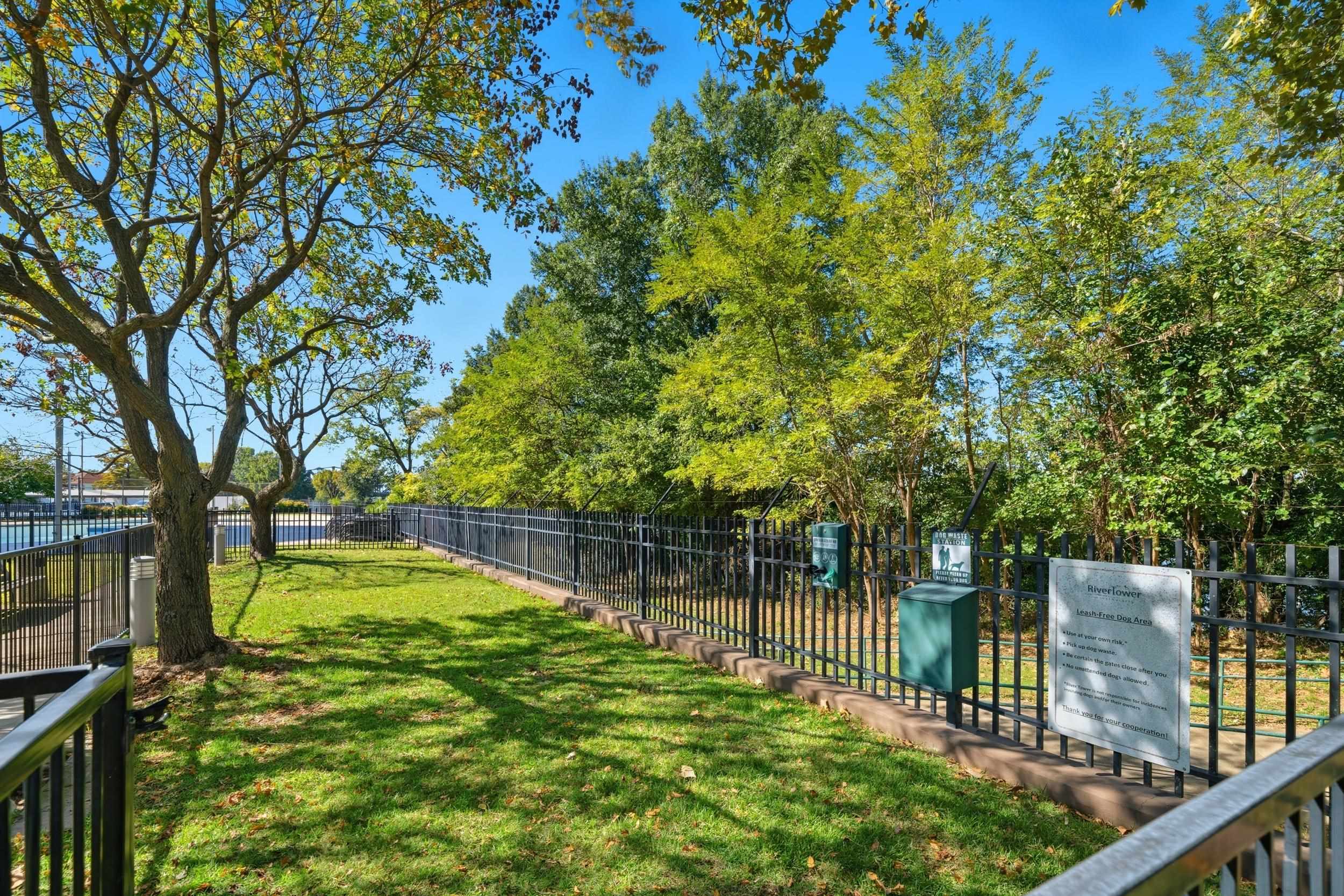 655 Riverside Drive, Unit 205A Memphis, TN 38103 - Photo 14 of 24 a view of a backyard with a small pool and plants