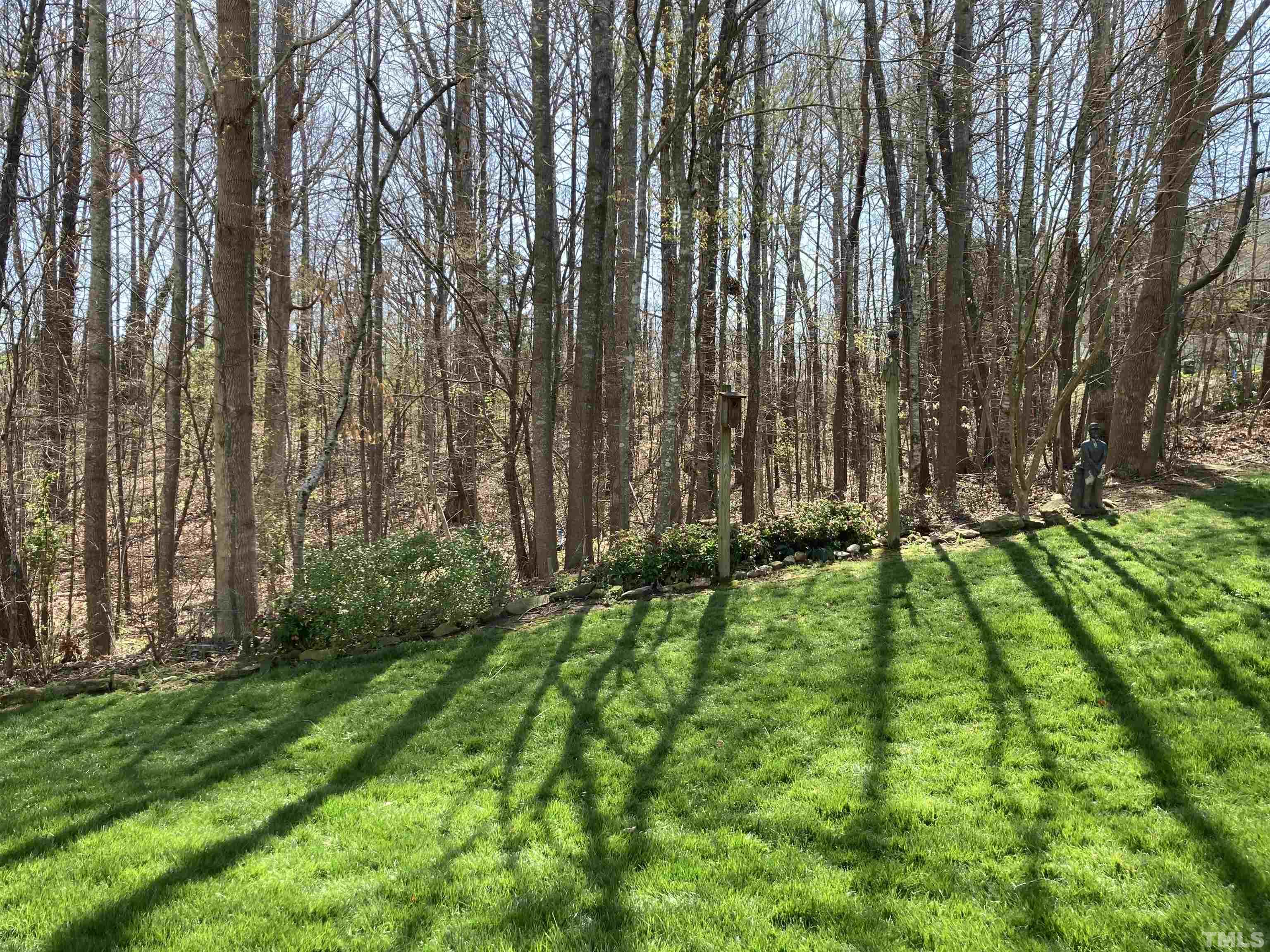 1443 Basinger Court Raleigh, NC 27612 - Photo 8 of 10 Lush green backyard with wooded views