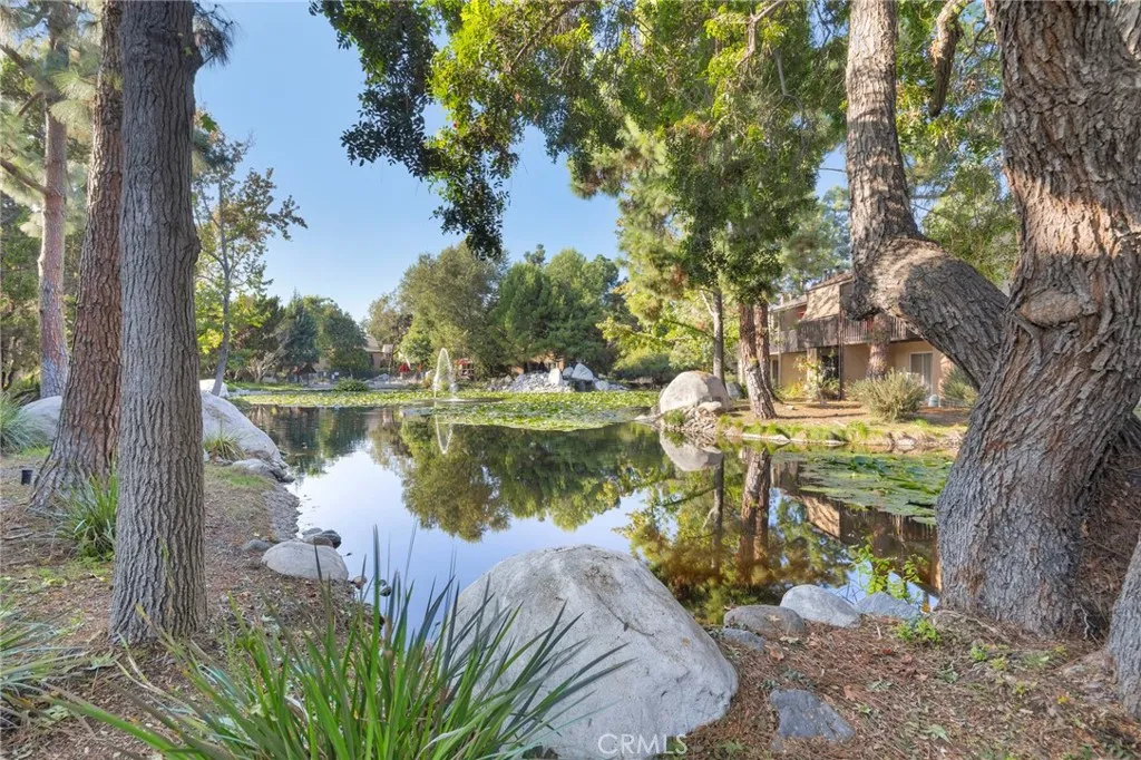 7890 East Spring Street, Unit 4A Long Beach, CA 90815 - Photo 21 of 21 a view of a lake with a large trees