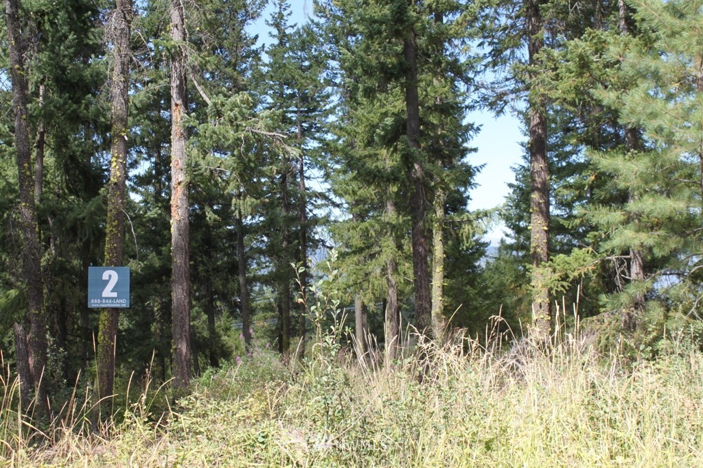 11-2 Tillman Creek Road Cle Elum, WA 98922 - Photo 2 of 4 Gallery Image 2