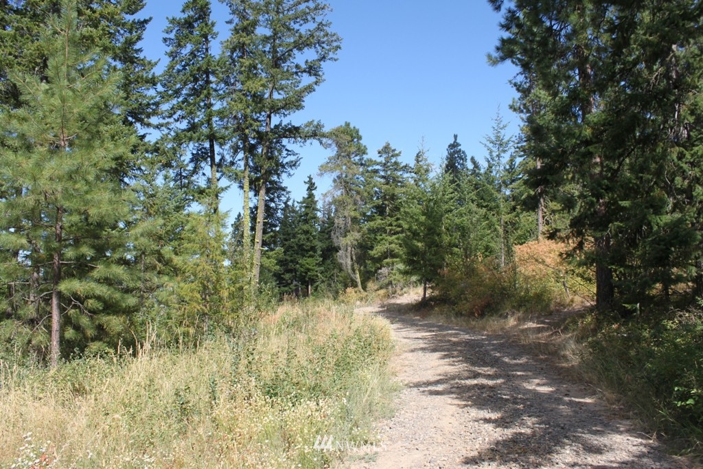 11-2 Tillman Creek Road Cle Elum, WA 98922 - Photo 3 of 4 Gallery Image 3