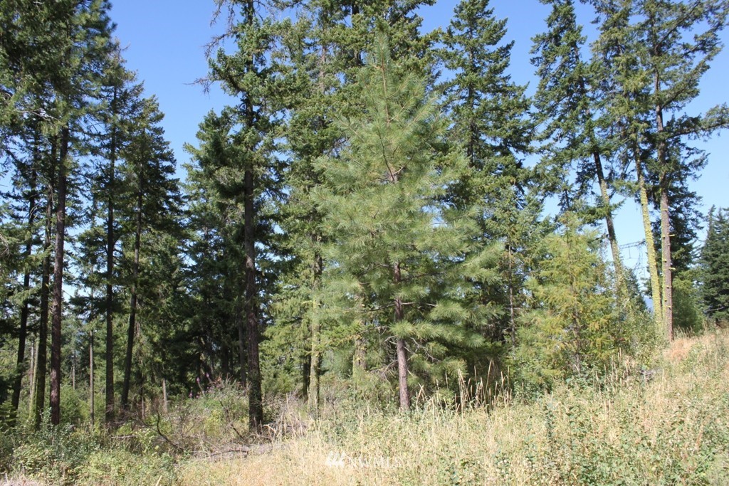 11-2 Tillman Creek Road Cle Elum, WA 98922 - Photo 4 of 4 Gallery Image 4