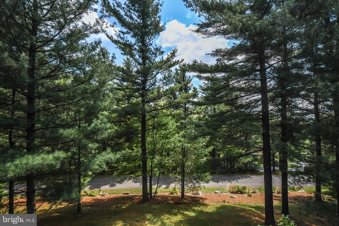 153 Glenview Road Swanton, MD 21561 - Photo 19 of 58 Gallery Image 19