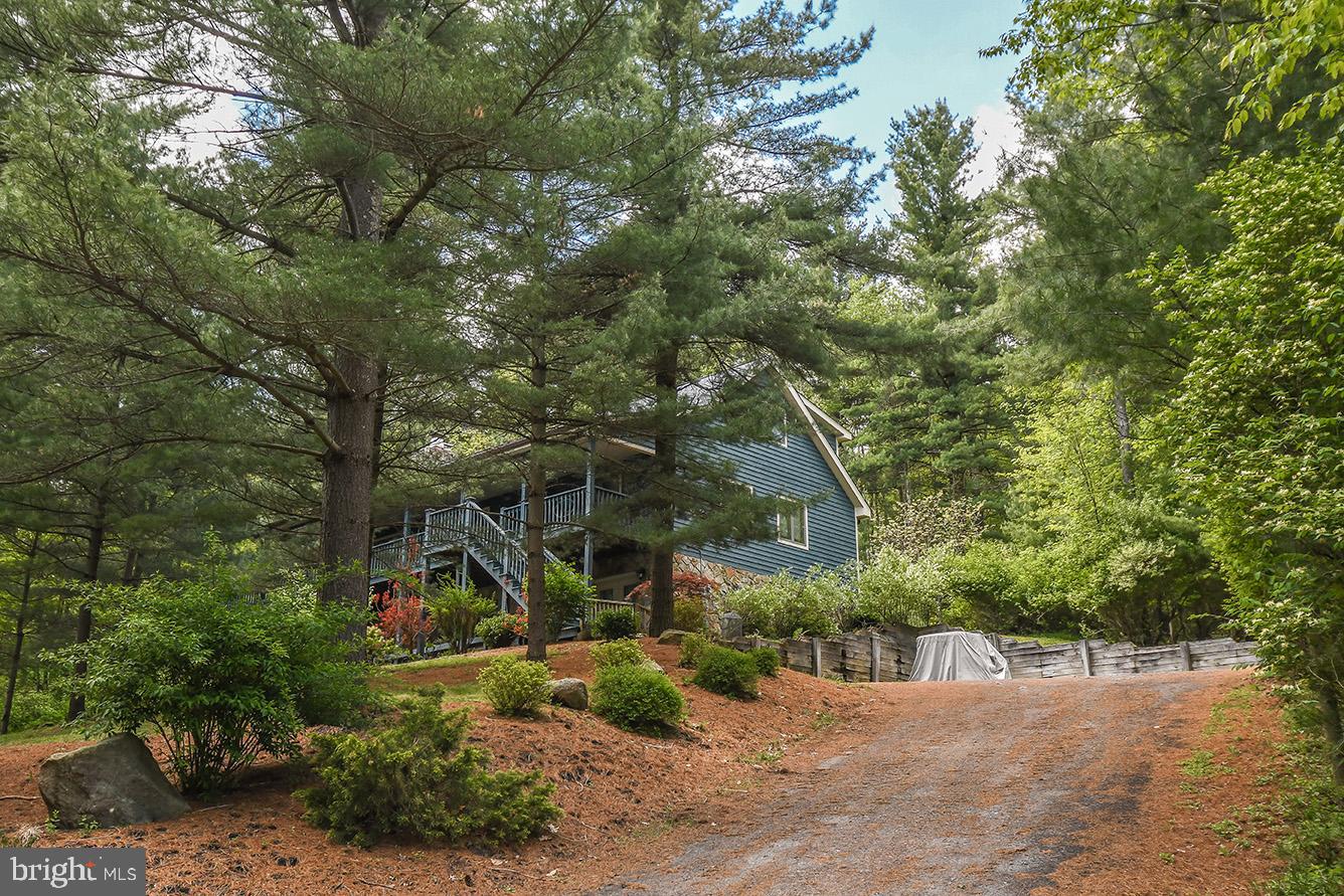 153 Glenview Road Swanton, MD 21561 - Photo 24 of 58 Gallery Image 24