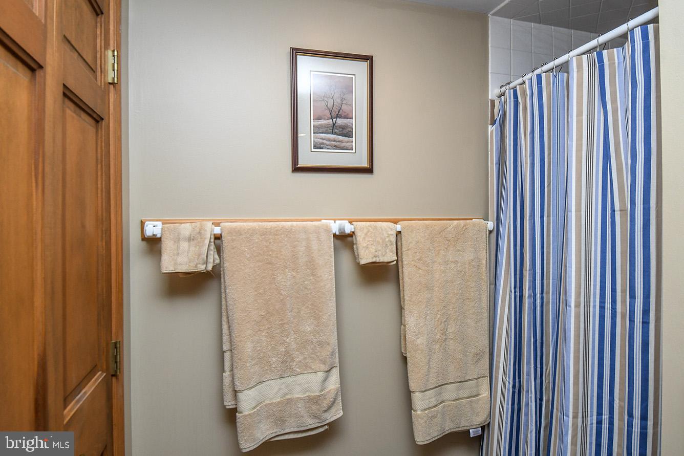153 Glenview Road Swanton, MD 21561 - Photo 54 of 58 Gallery Image 54