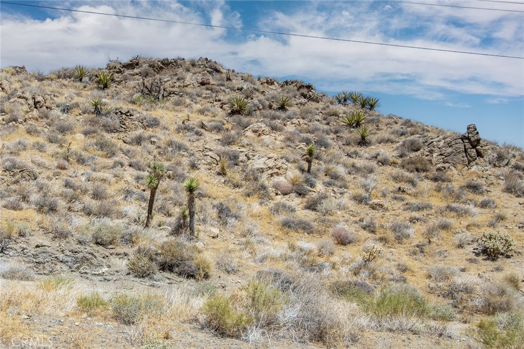 56950 San Andreas Road Yucca Valley, CA 92284 - Photo 11 of 14